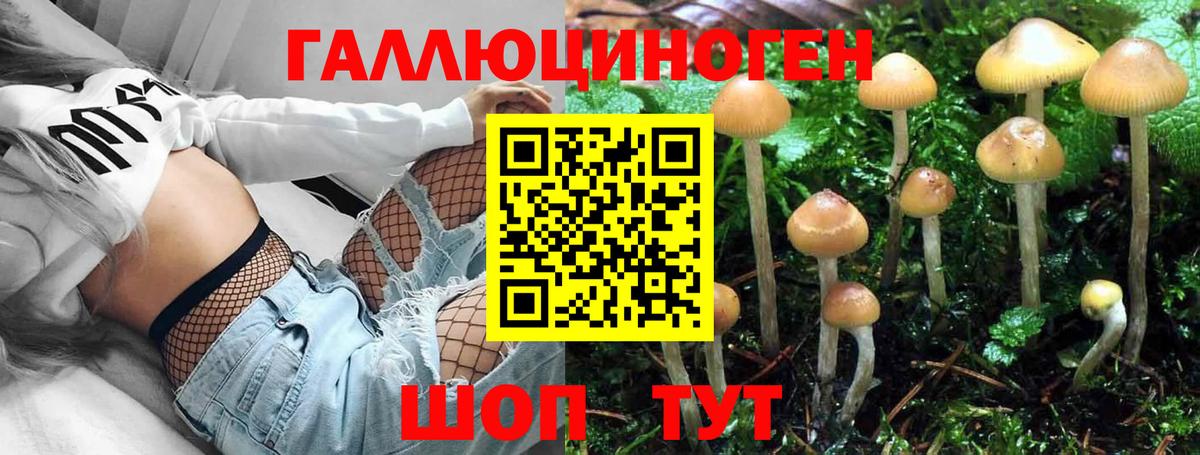 Майский  Псилоцибиновые грибы Cubensis  Вход с VPN 