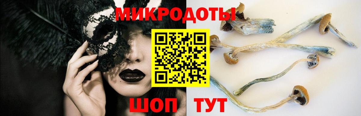 Псилоцибиновые грибы Cubensis Майский